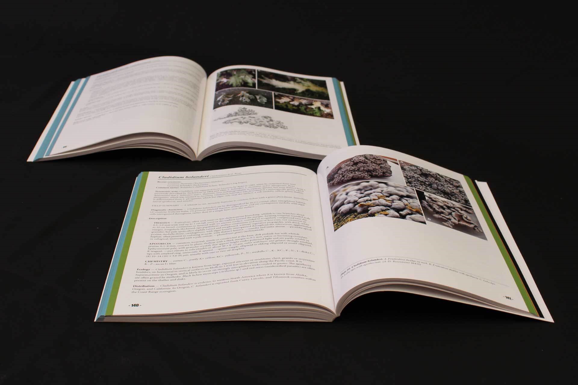 Oregon BLM Book Design Project Blue Green Book
